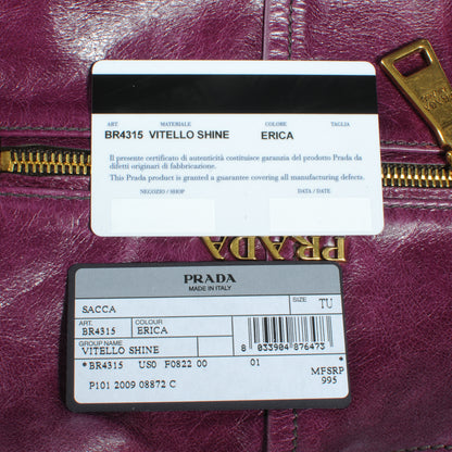 Prada Vitello Shine Hobo Erica 9 of 10