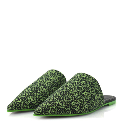 Loewe Jacquard Anagram Calfskin Pointy Mule Sandals 40 Apple Green 3 of 11