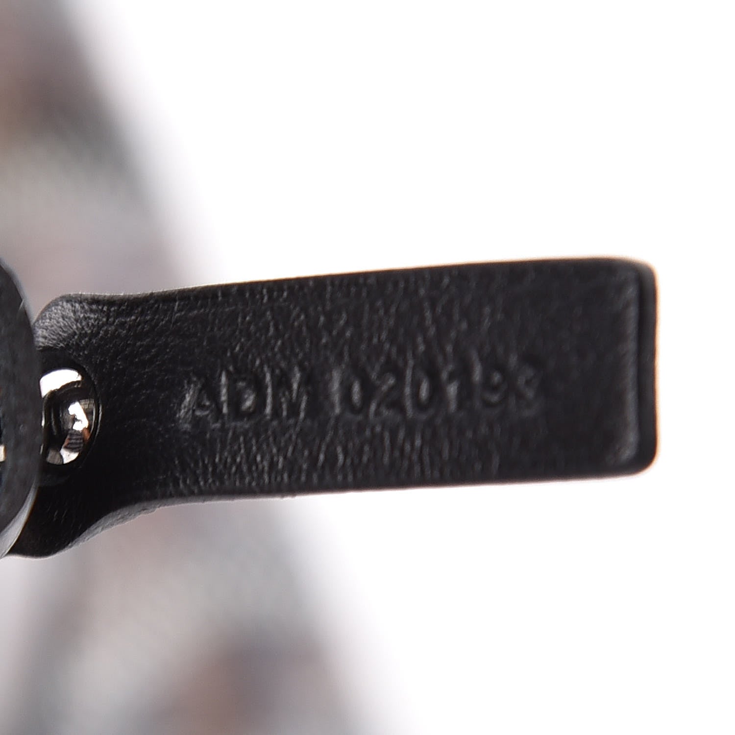 Goyard Goyardine Saint Louis PM Black 10 of 10