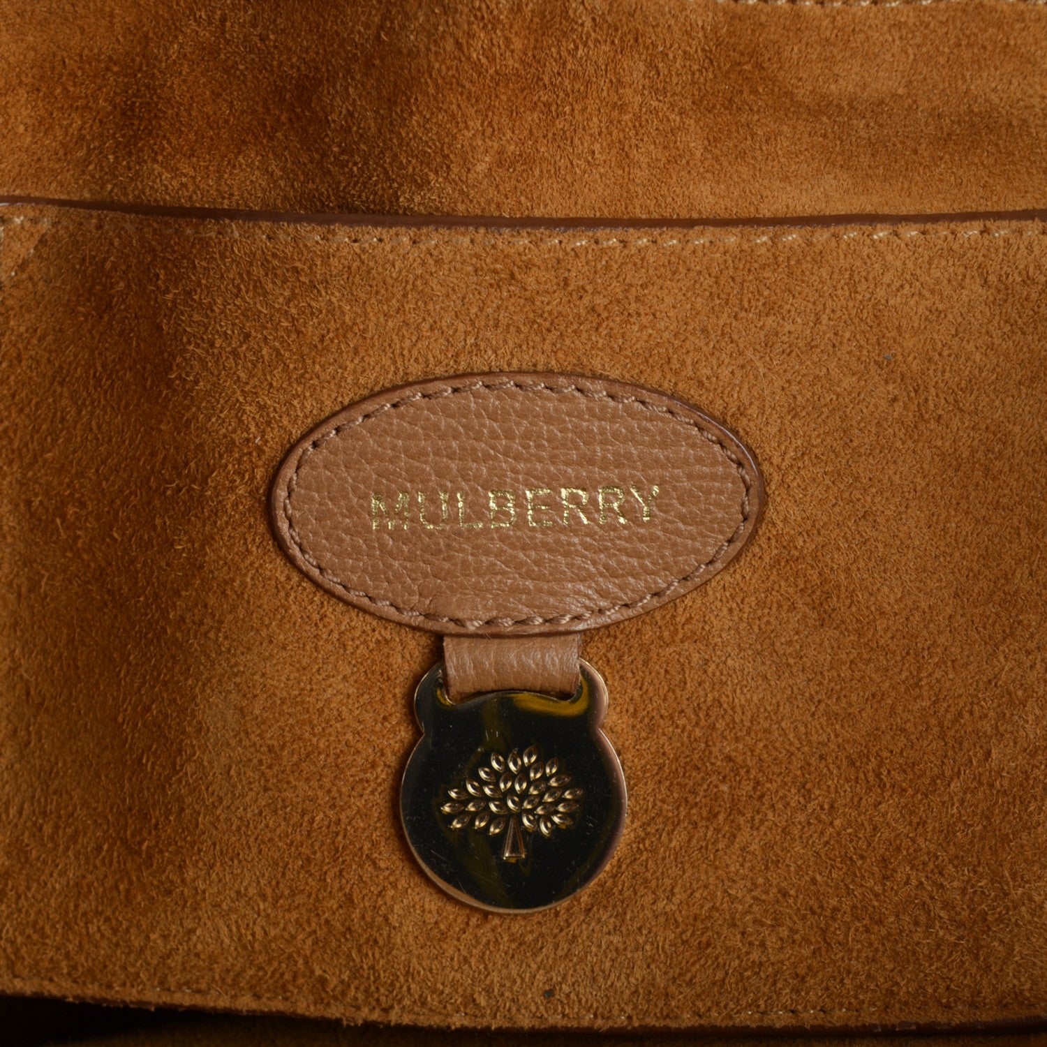 Mulberry Soft Grain Goatskin Bayswater Light Oak 4 of 18