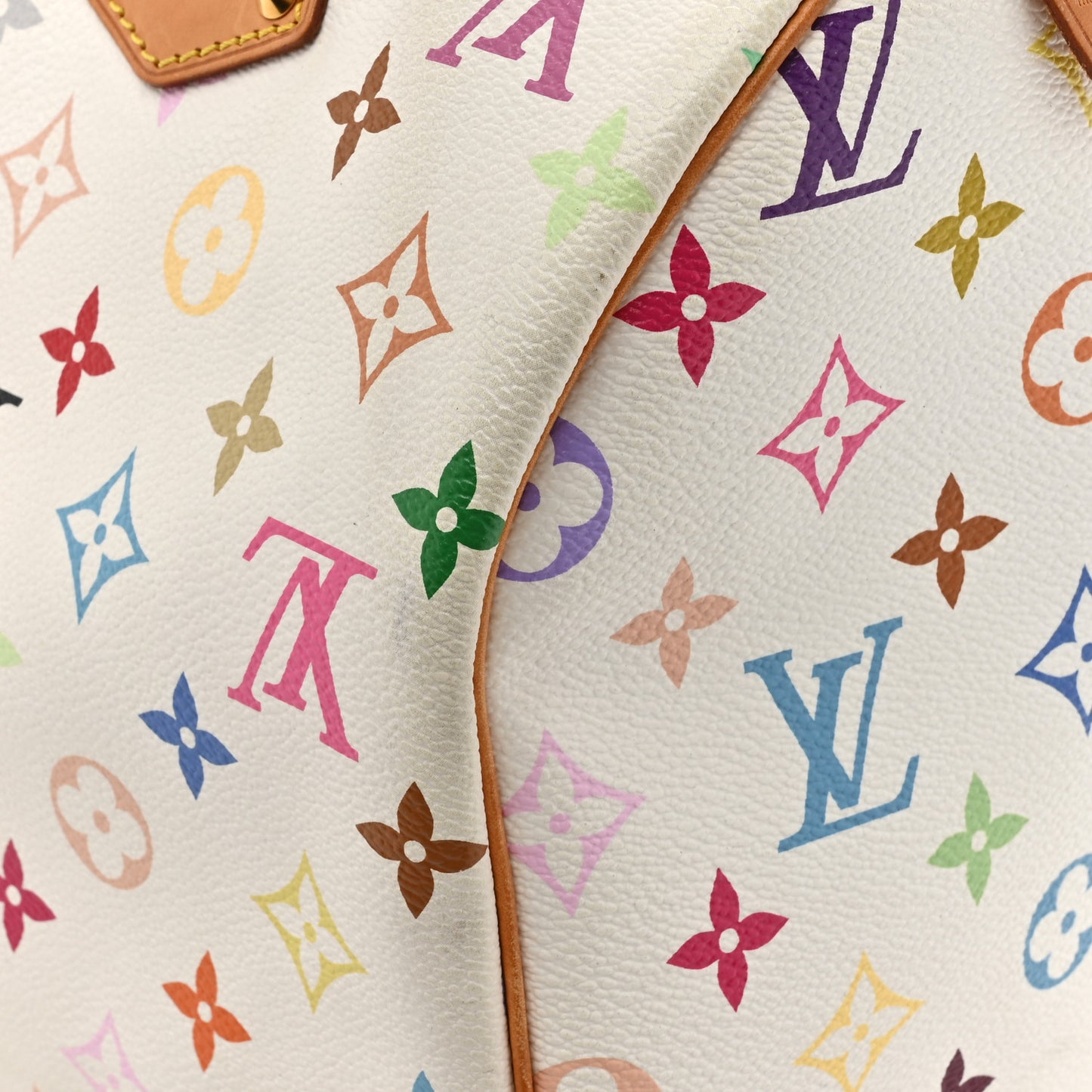 Monogram Multicolor Speedy 30 White