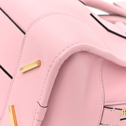 Loewe Calfskin Amazona 23 Pink 12 of 16