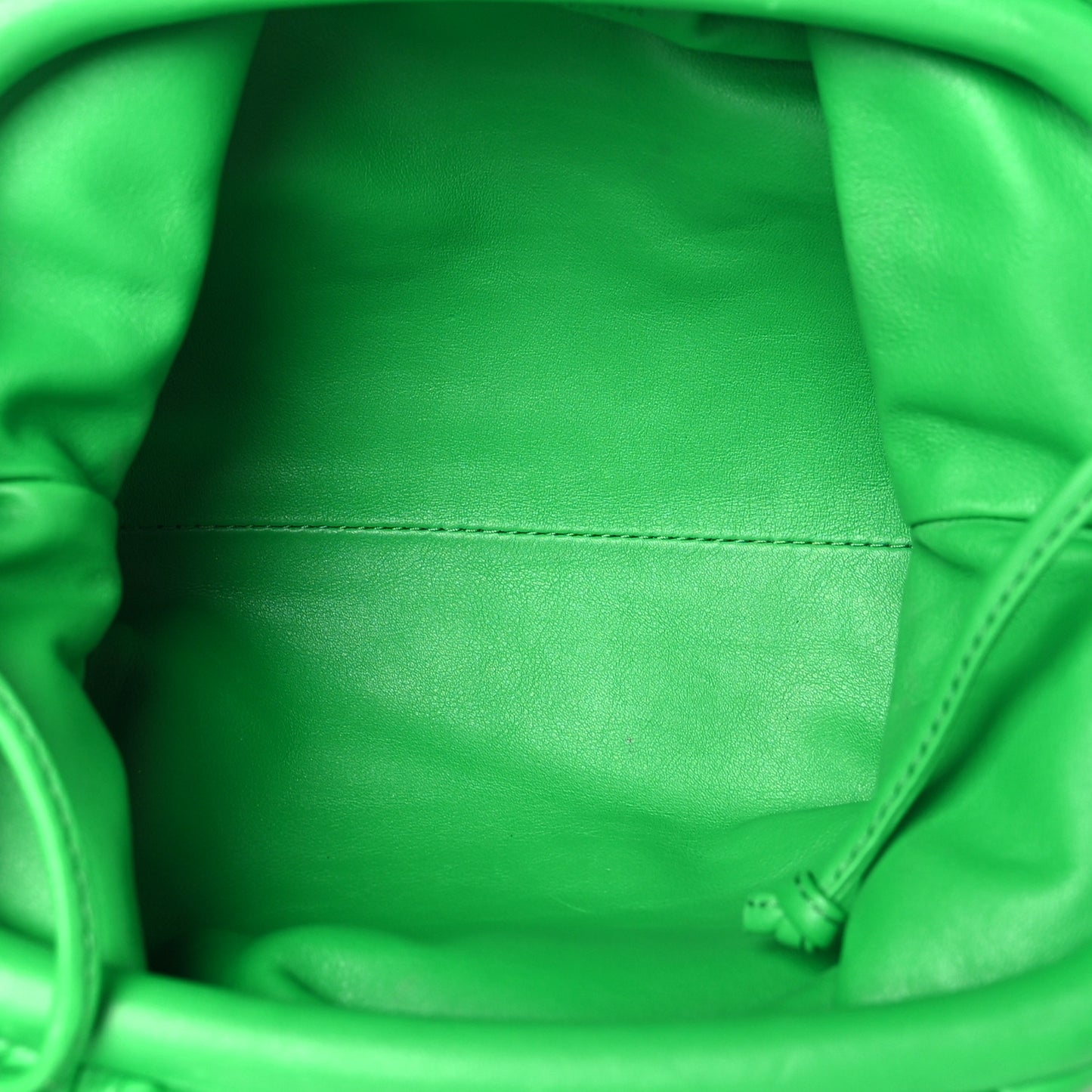 Butter Calfskin The Mini Pouch Parakeet