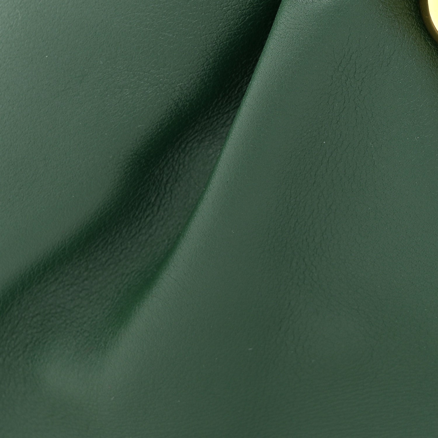 Bottega Veneta Calfskin The Pouch Chain Raintree 8 of 11