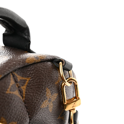 Louis Vuitton Monogram Palm Springs Backpack Mini 13 of 14