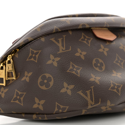 Louis Vuitton Monogram Bumbag 9 of 11