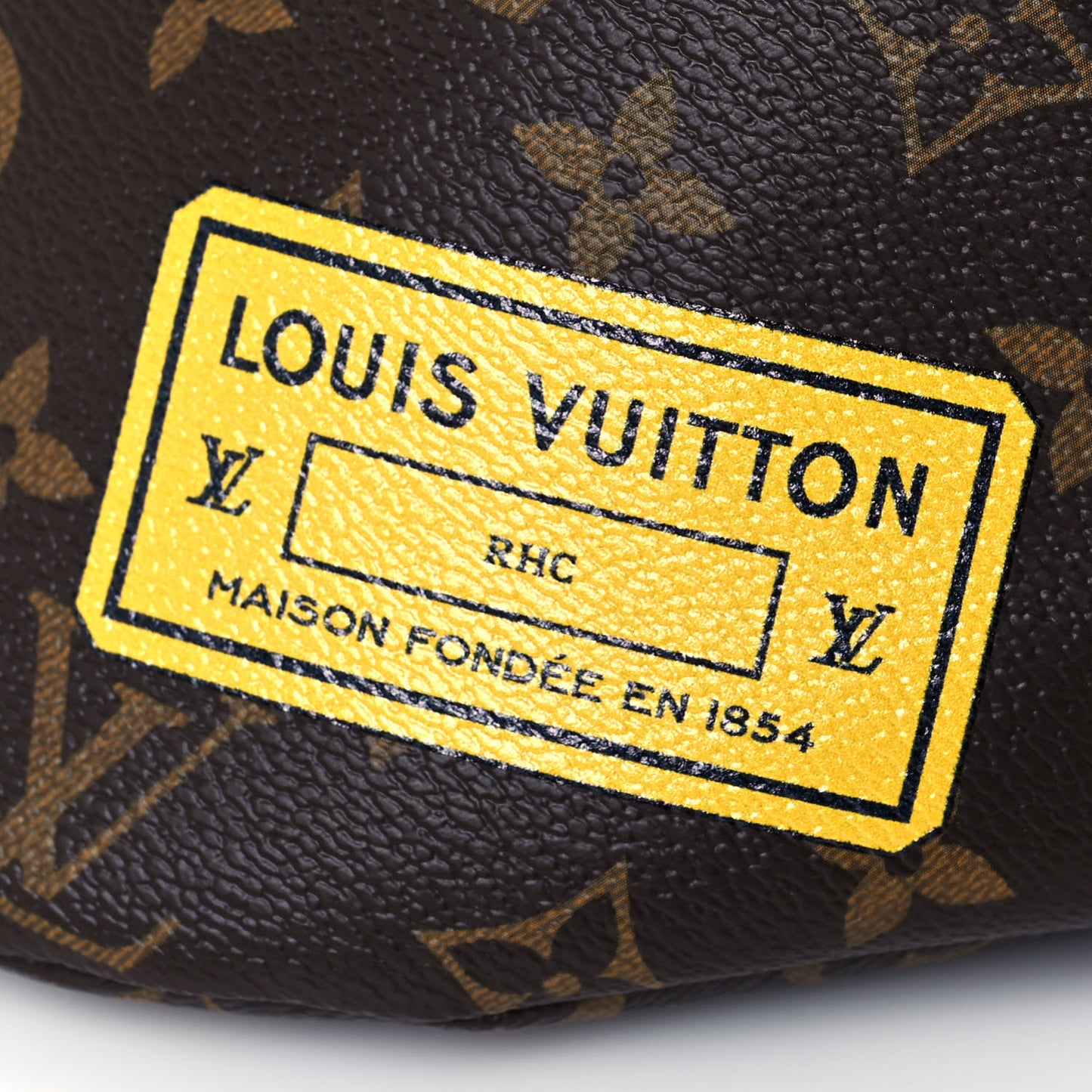 Monogram My LV World Tour Bumbag