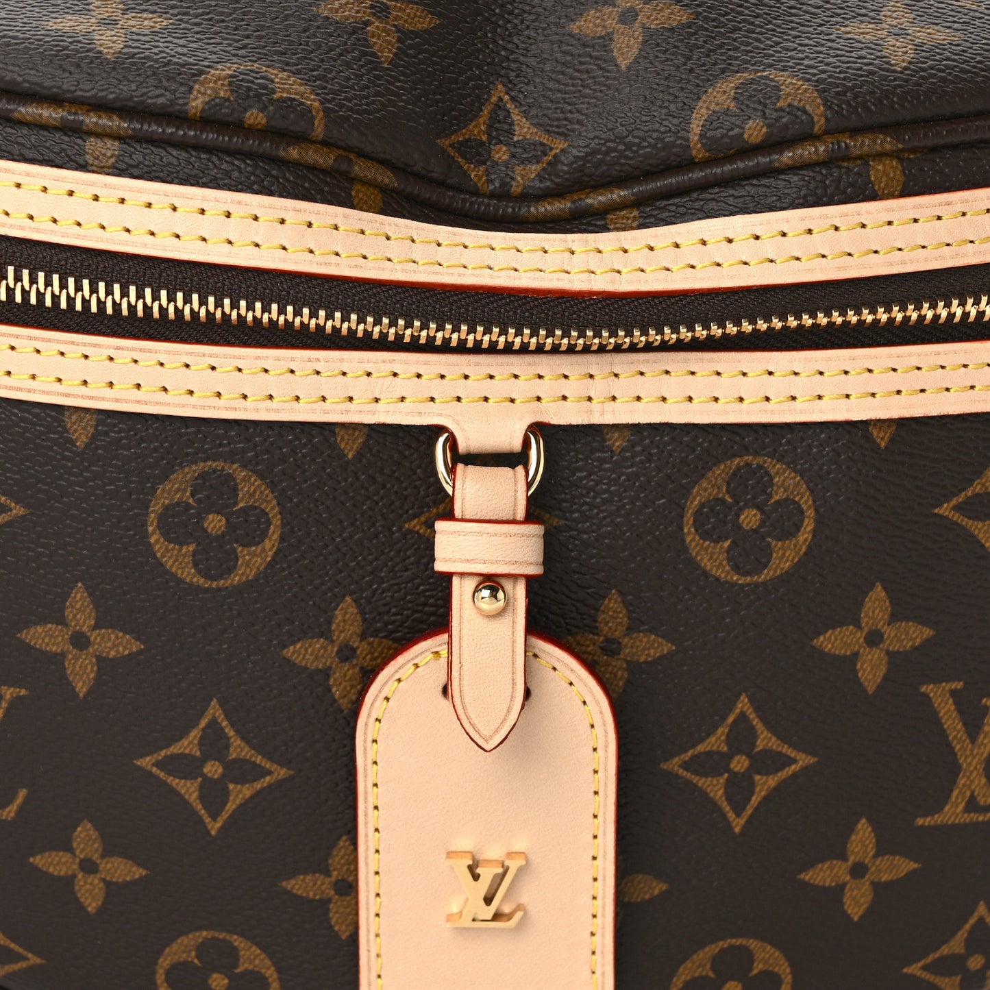 Monogram High Rise Bumbag