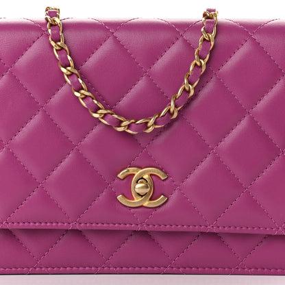 Chanel Lambskin Quilted Pearl Crush Wallet on Chain WOC Pink 8 of 11