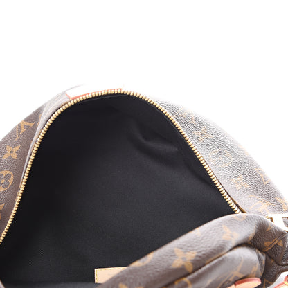 Louis Vuitton Monogram Bumbag 4 of 9