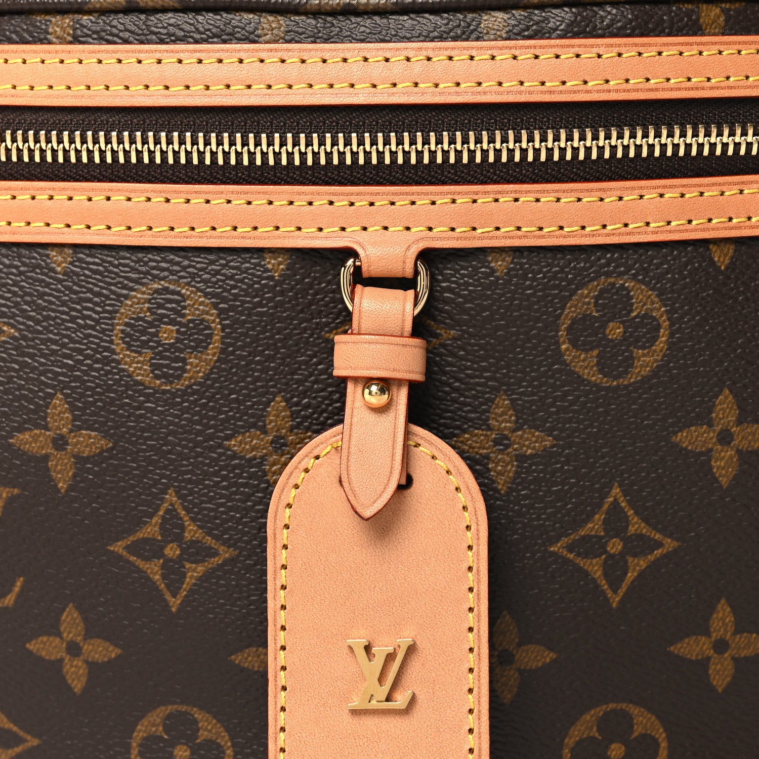 Louis Vuitton Monogram High Rise Bumbag 7 of 9