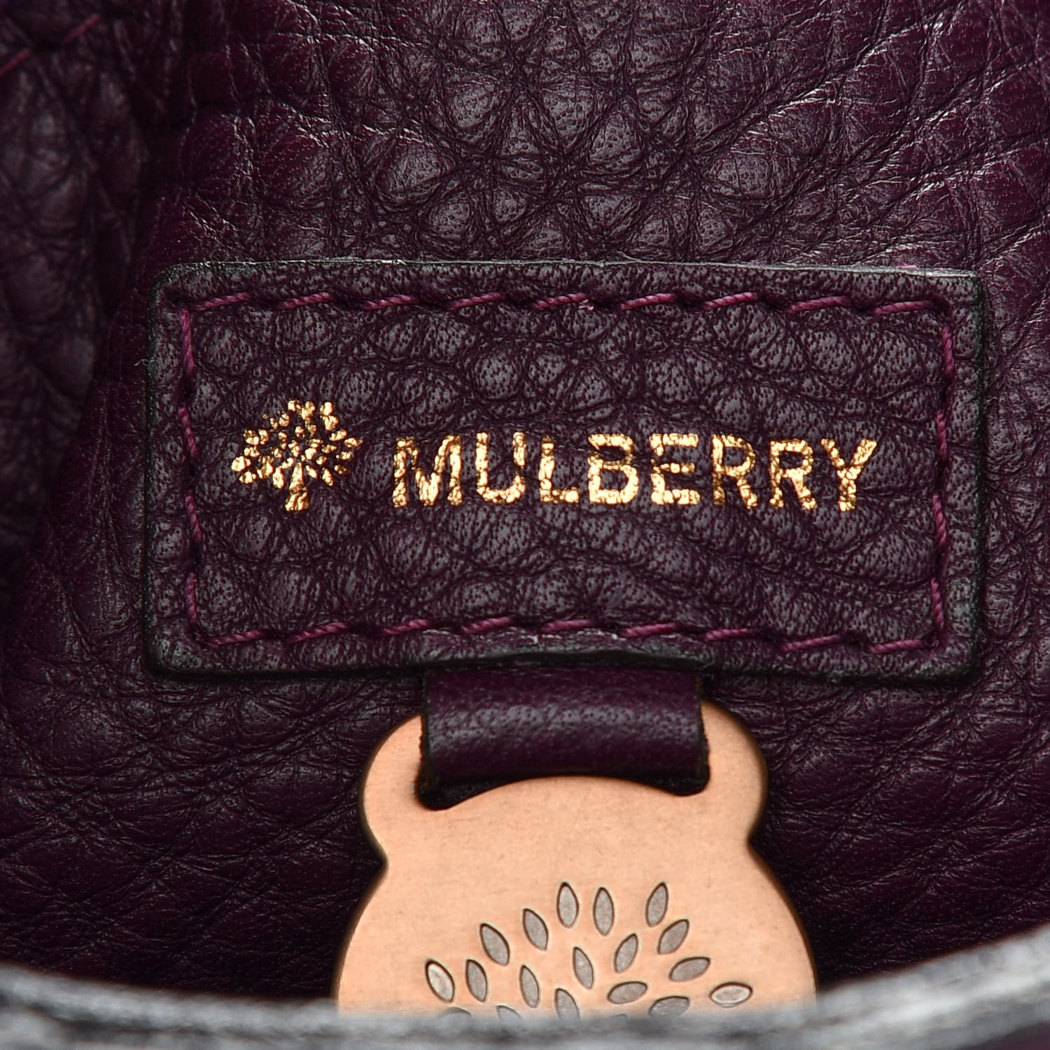Mulberry Grained Calfskin Shoulder Bag Eggplant 6 of 11