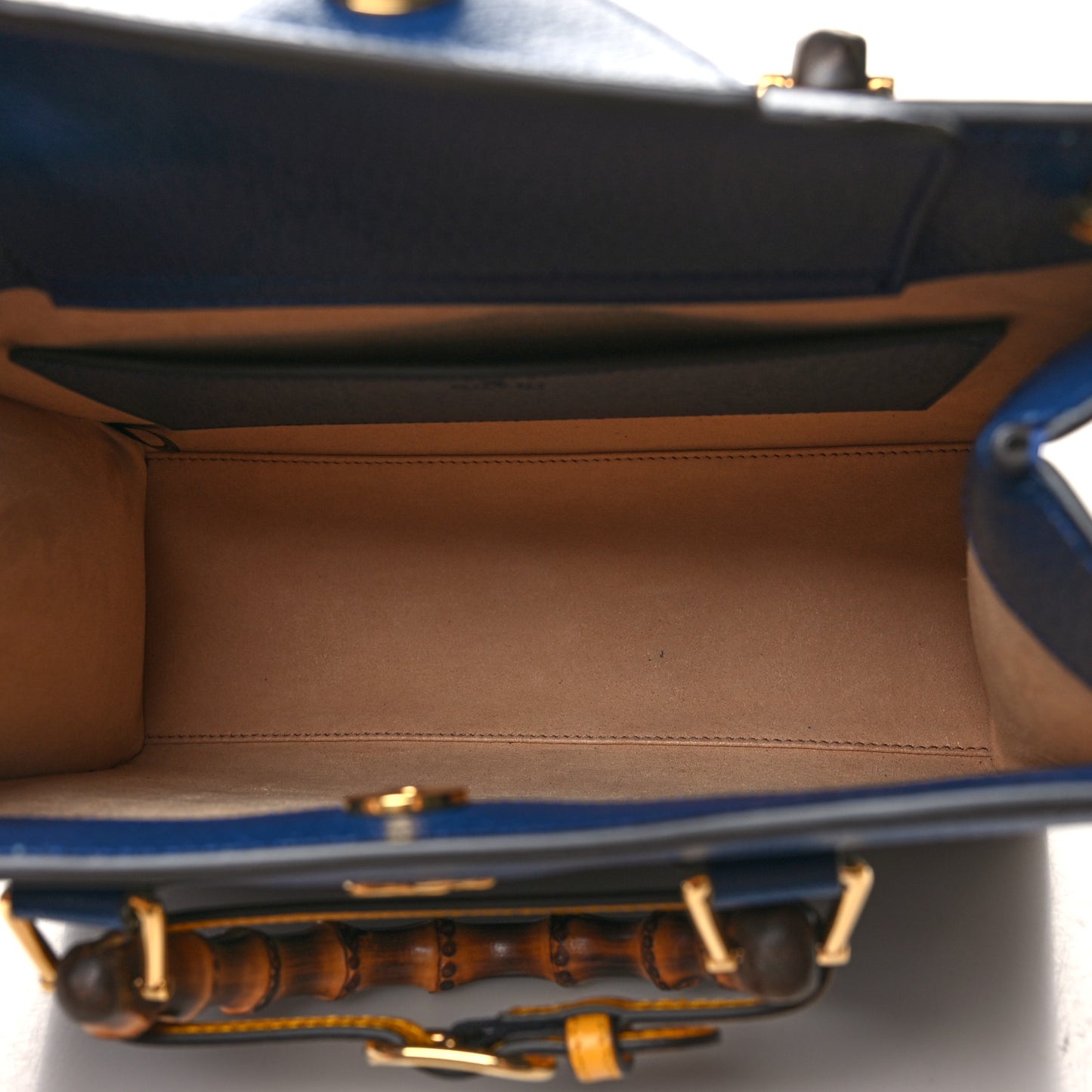 Textured Dollar Calfskin Web Small Diana Tote Bag Royal Crop