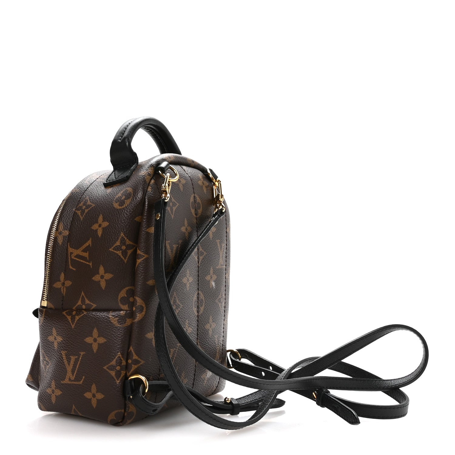 Louis Vuitton Monogram Palm Springs Backpack Mini 1835396