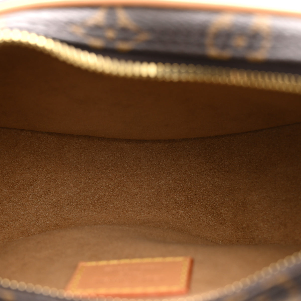 Louis Vuitton Monogram Loop 5 of 10