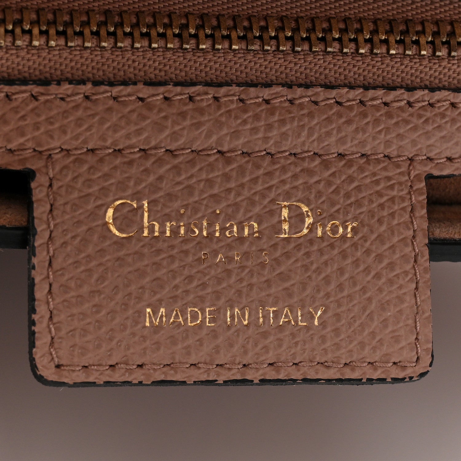 Christian Dior Grained Calfskin Saddle Bag Fard 6 of 15