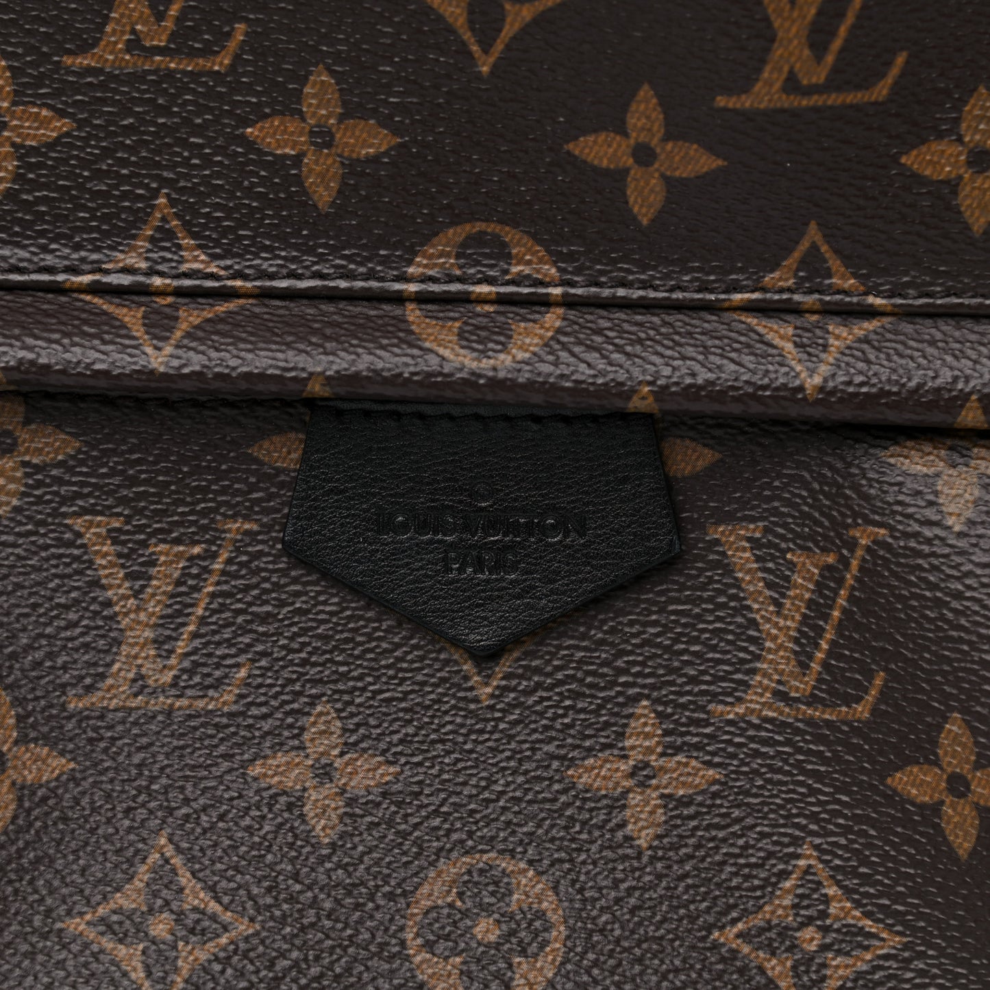 Monogram Palm Springs Backpack MM
