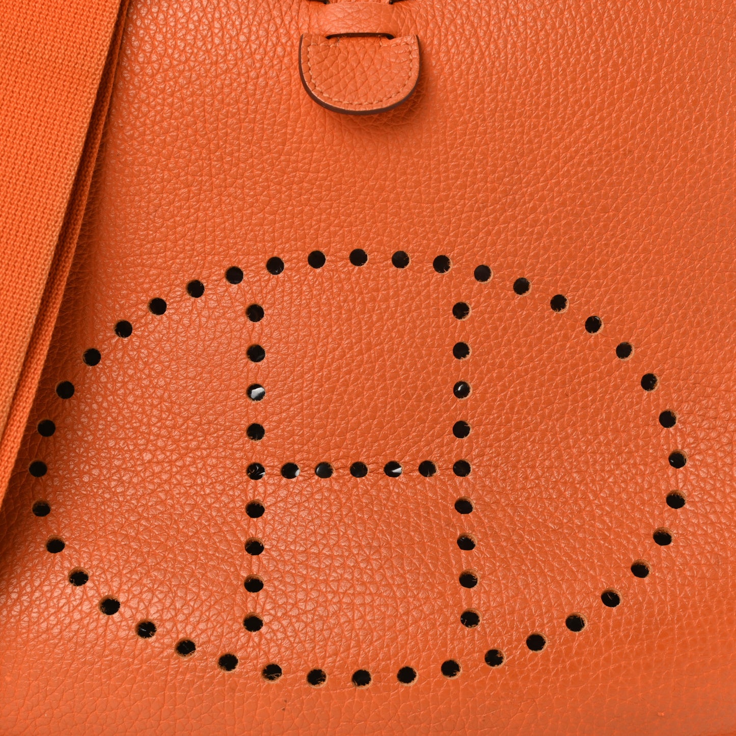 Taurillon Clemence Evelyne III GM Orange