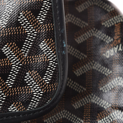 Goyard Goyardine Saint Louis PM Black 10 of 10
