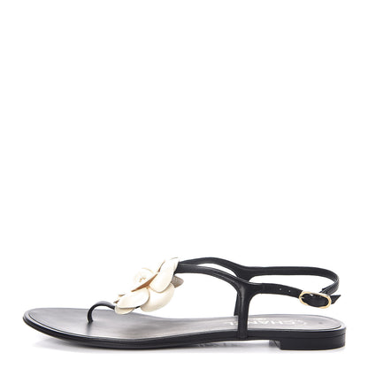 Chanel Lambskin Camellia Thong Sandals 39.5 Black White 1 of 8