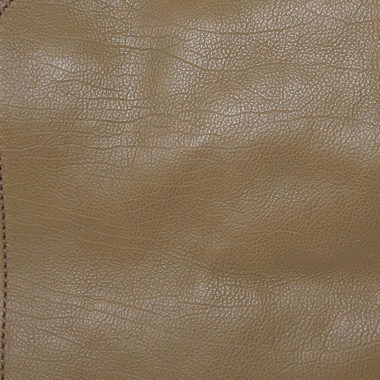 Calfskin Python Medium Cabas Chyc Brown