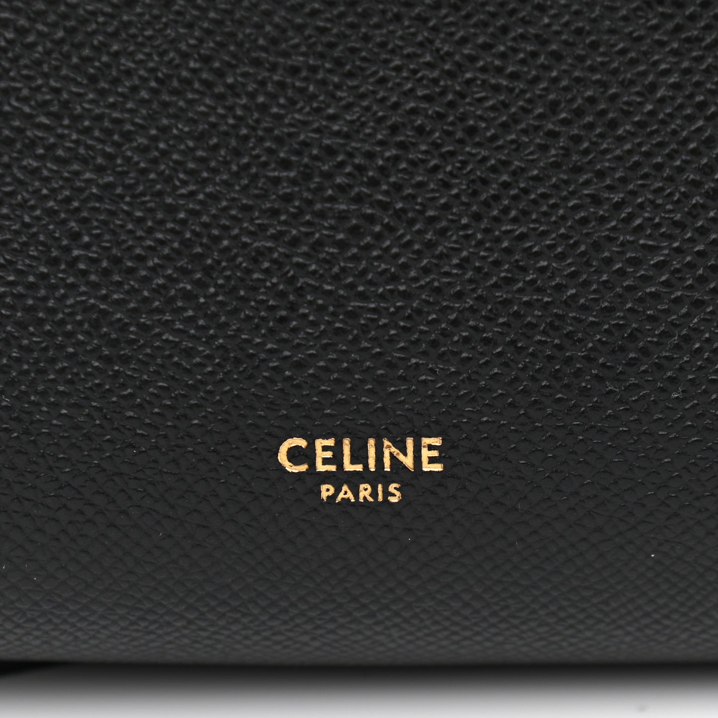 Grained Calfskin Nano Belt Bag Black