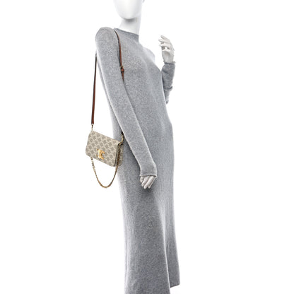 Celine Canvas Calfskin Triomphe Multipochette Grege 2 of 9