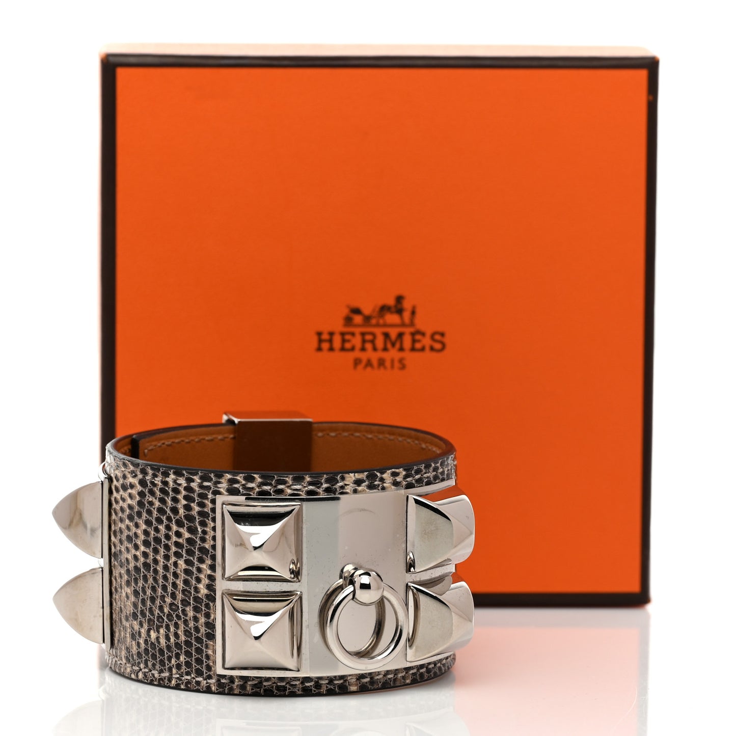 Lizard Collier De Chien CDC Bracelet T2 Ombre