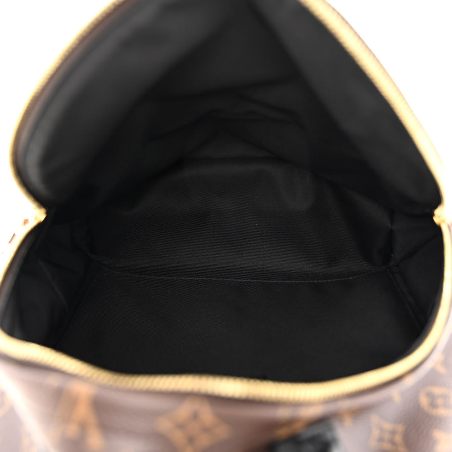 Monogram Palm Springs Backpack MM