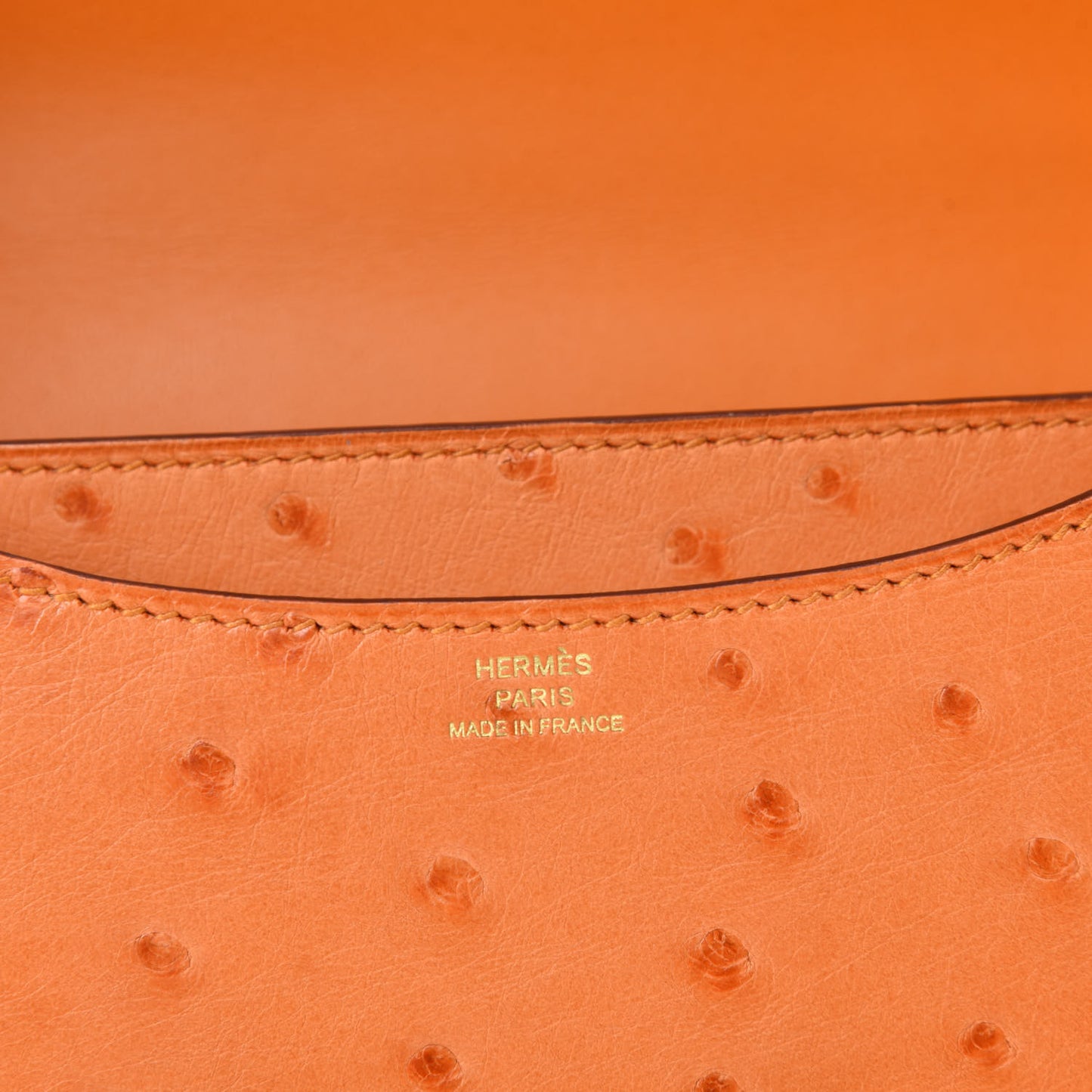 Ostrich Constance 18 Abricot