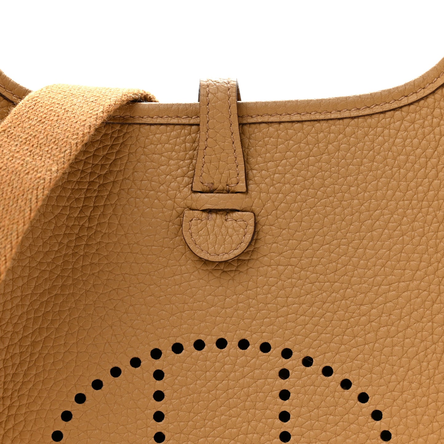 Taurillon Clemence Evelyne TPM Biscuit