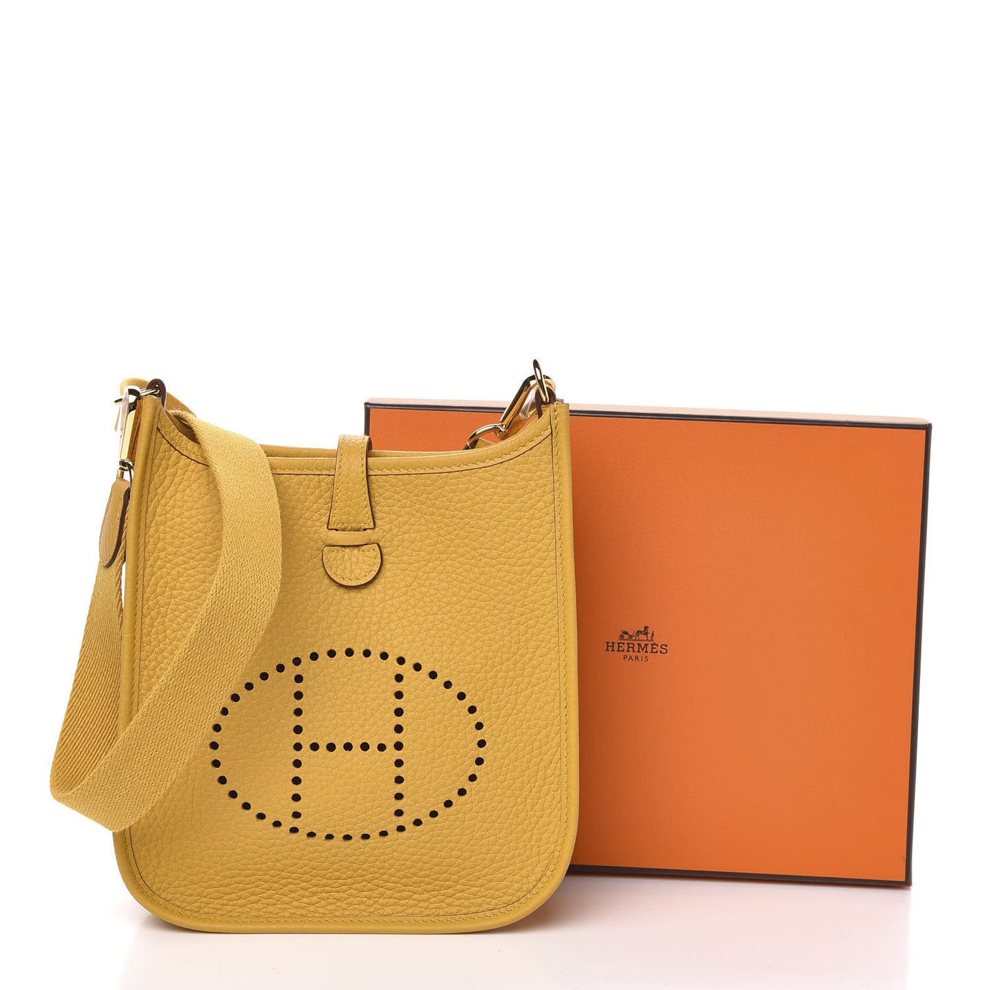 Taurillon Clemence Evelyne TPM Jaune Ambre