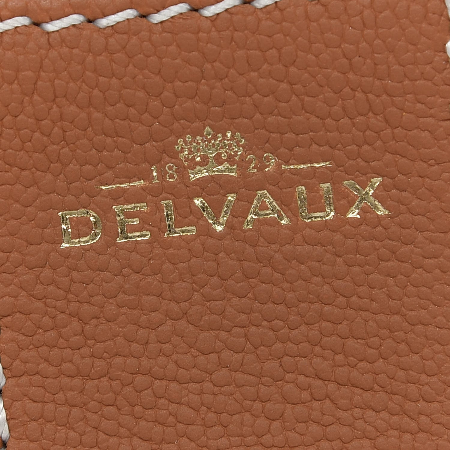 Delvaux Grained Rodeo Calfskin Surpique Mini Brillant Satchel Vegetal Ivory 6 of 9