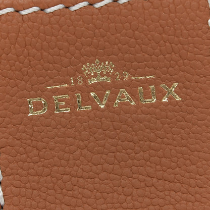 Delvaux Grained Rodeo Calfskin Surpique Mini Brillant Satchel Vegetal Ivory 6 of 9