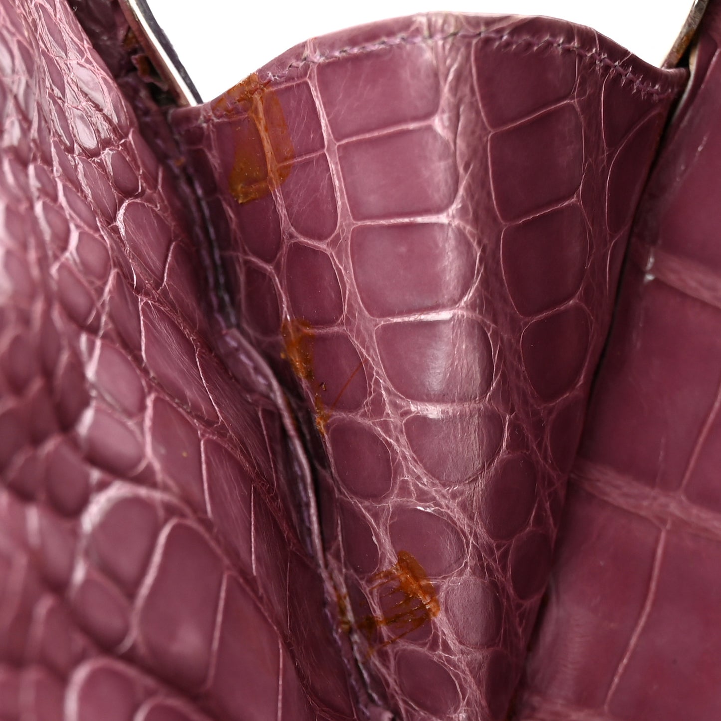Crystal Butterfly Celestrina Minaudiere Clutch Plum