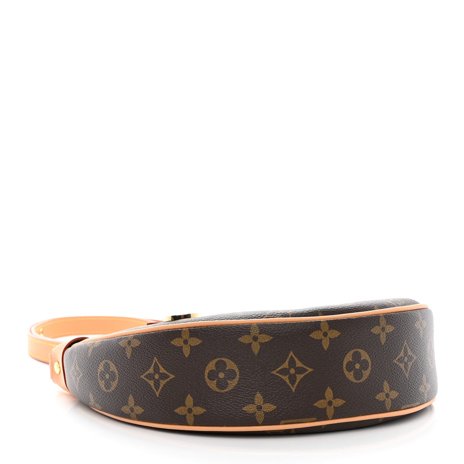 Louis Vuitton Monogram Loop 4 of 10