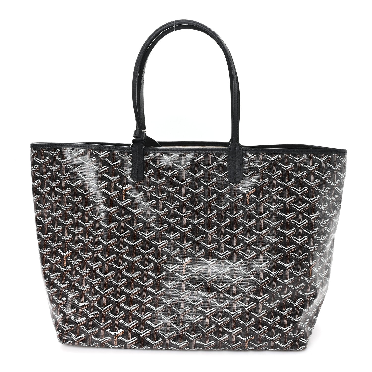 Goyard Goyardine Saint Louis PM Black 1 of 10