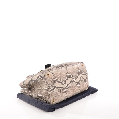 Prada Python Large Double Bag Roccia 4 of 10
