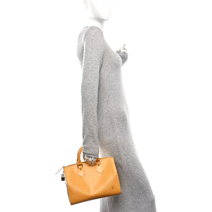 Louis Vuitton Epi Speedy 25 Tassil 3 of 12