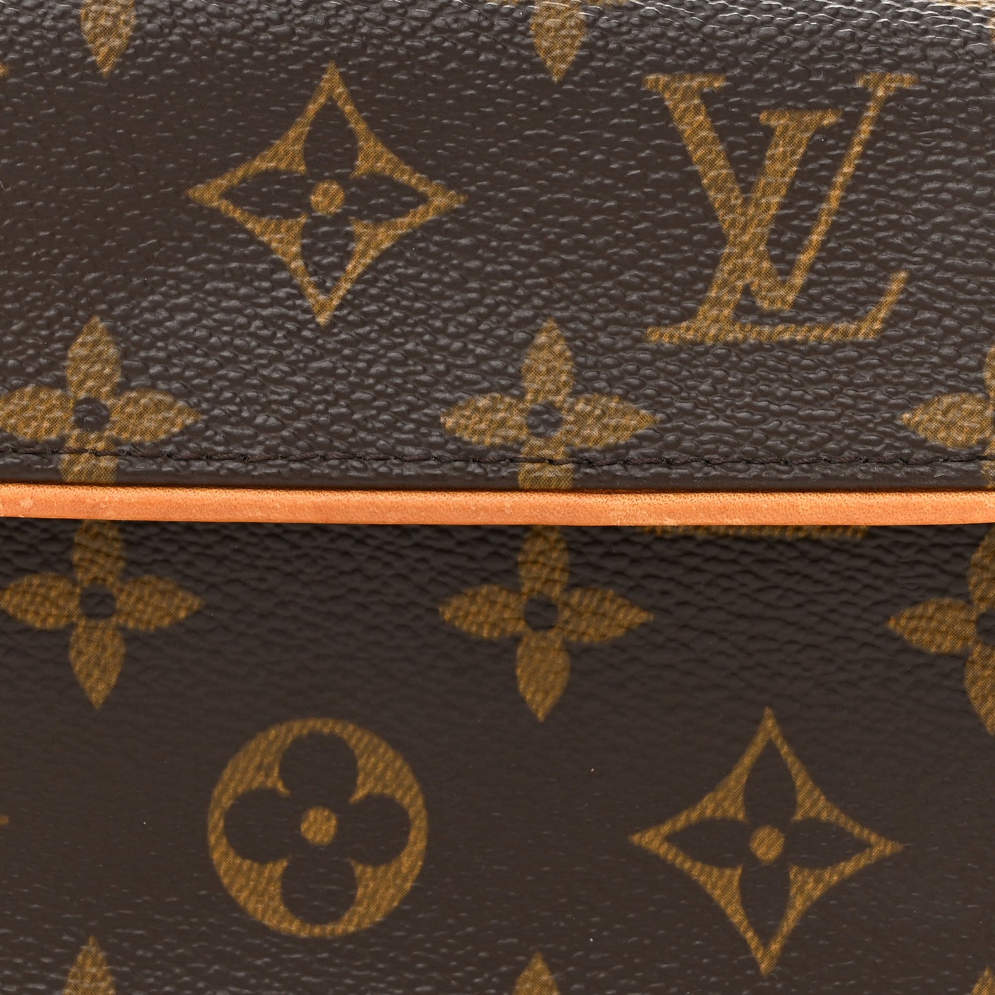 Monogram Pochette Florentine XS