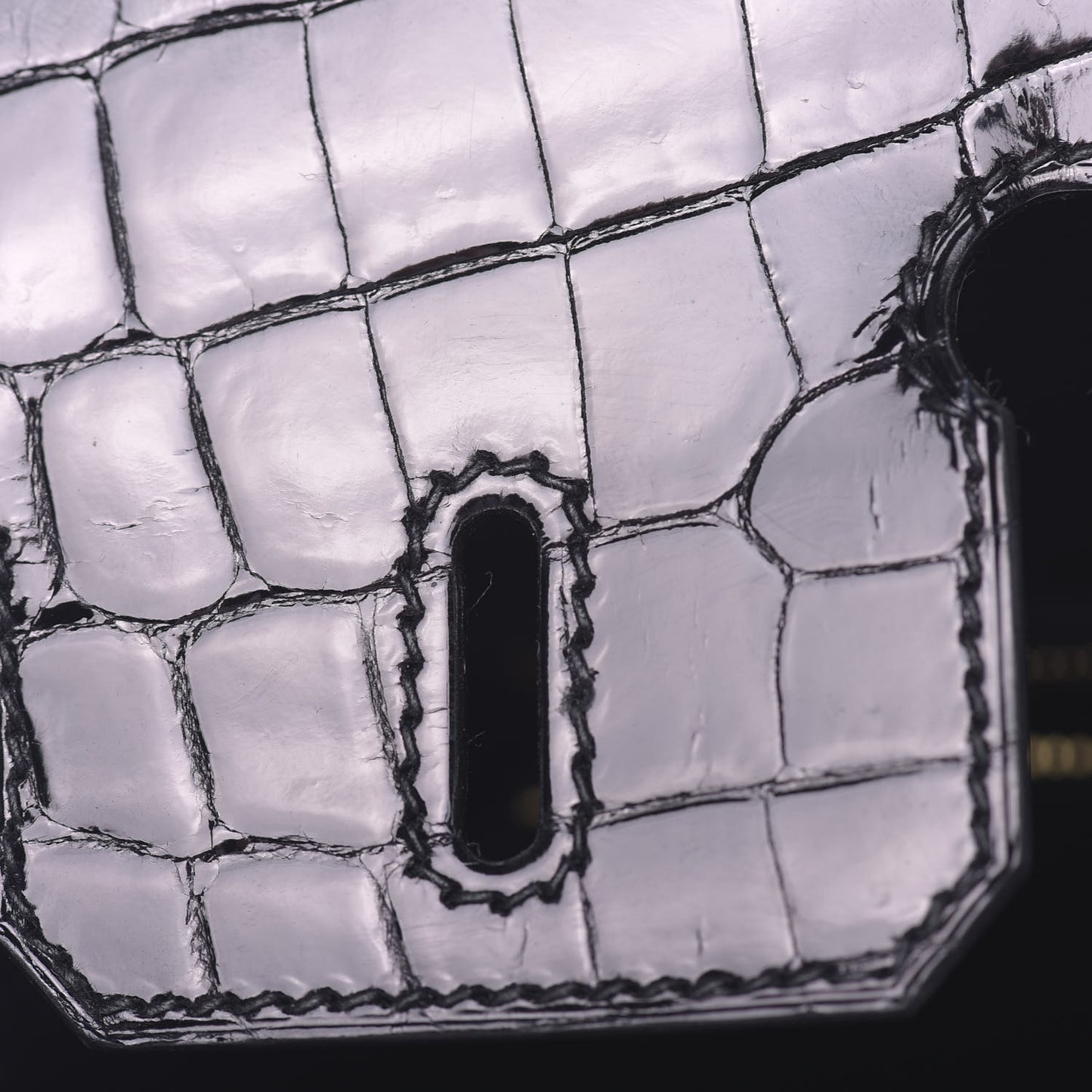 Taurillon Novillo Shiny Niloticus Crocodile Birkin Touch 25 Black