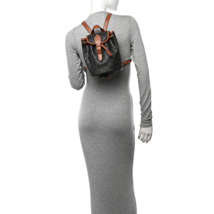 Celine Triomphe Canvas Calfskin Mini Folco Backpack Tan 2 of 10