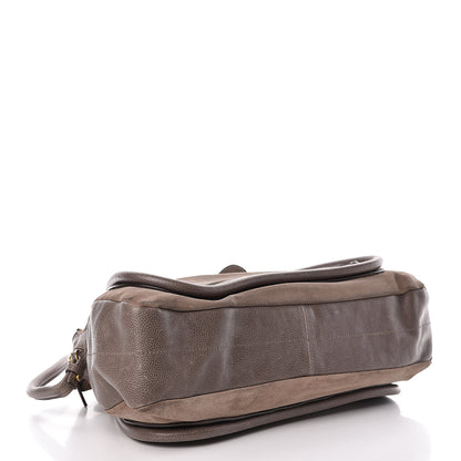 Chloe Suede Calfskin Large Paraty Rock 4 of 26