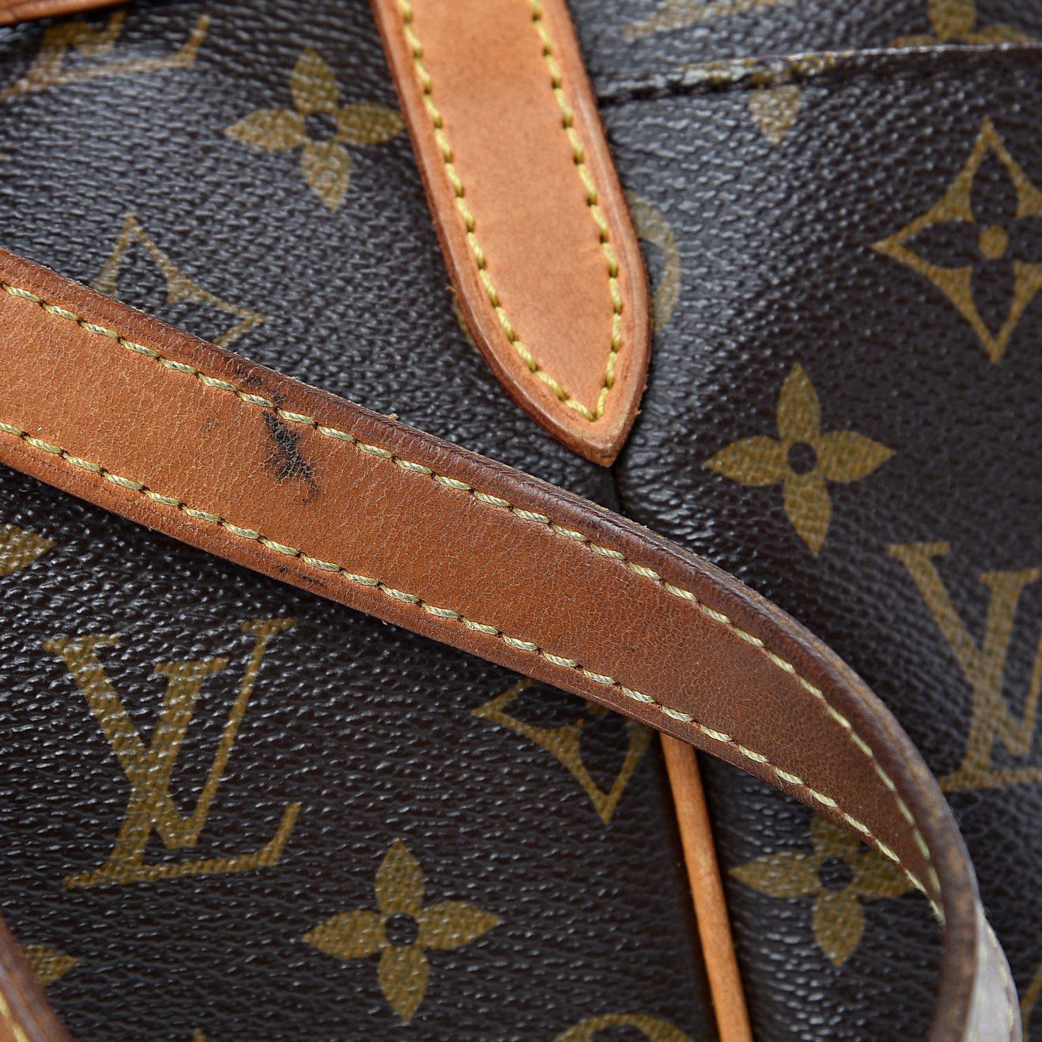 Louis Vuitton Monogram Totally PM 24 of 31
