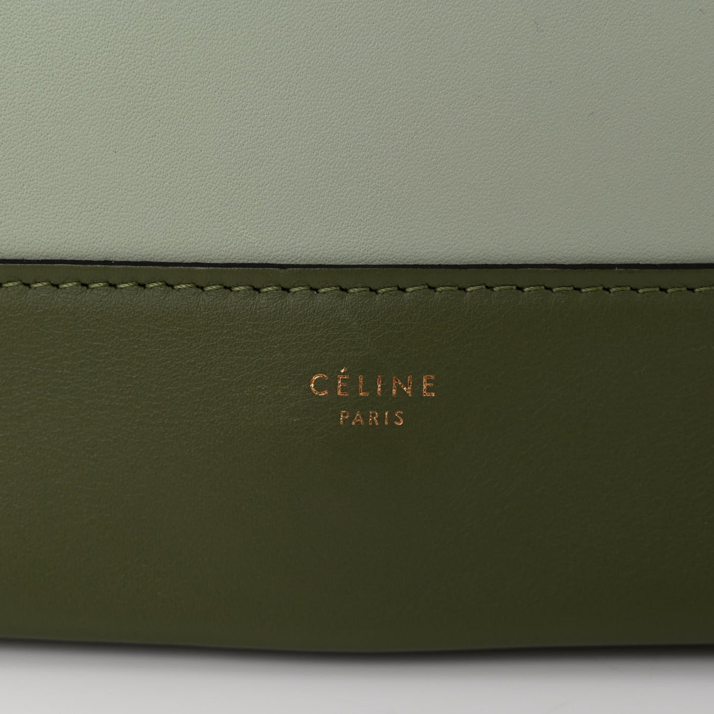 Shiny Smooth Calfskin Medium Frame Shoulder Bag Pastel Green
