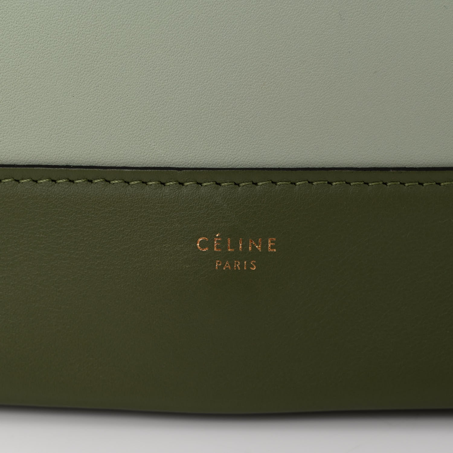 Celine Shiny Smooth Calfskin Medium Frame Shoulder Bag Pastel Green 6 of 14