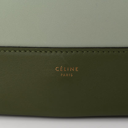 Celine Shiny Smooth Calfskin Medium Frame Shoulder Bag Pastel Green 6 of 14