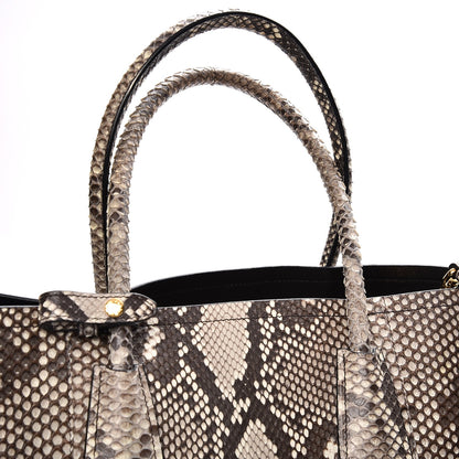 Prada Python Large Double Bag Roccia 10 of 13