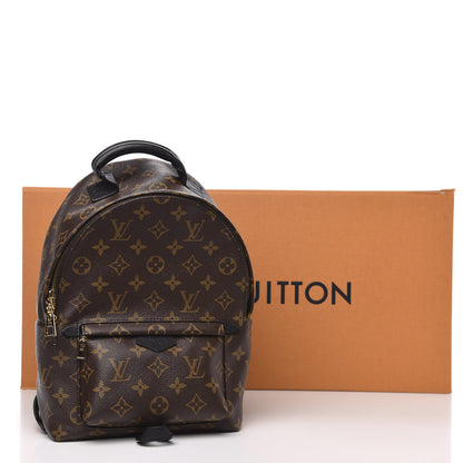 Louis Vuitton Monogram Palm Springs Backpack PM 8 of 8