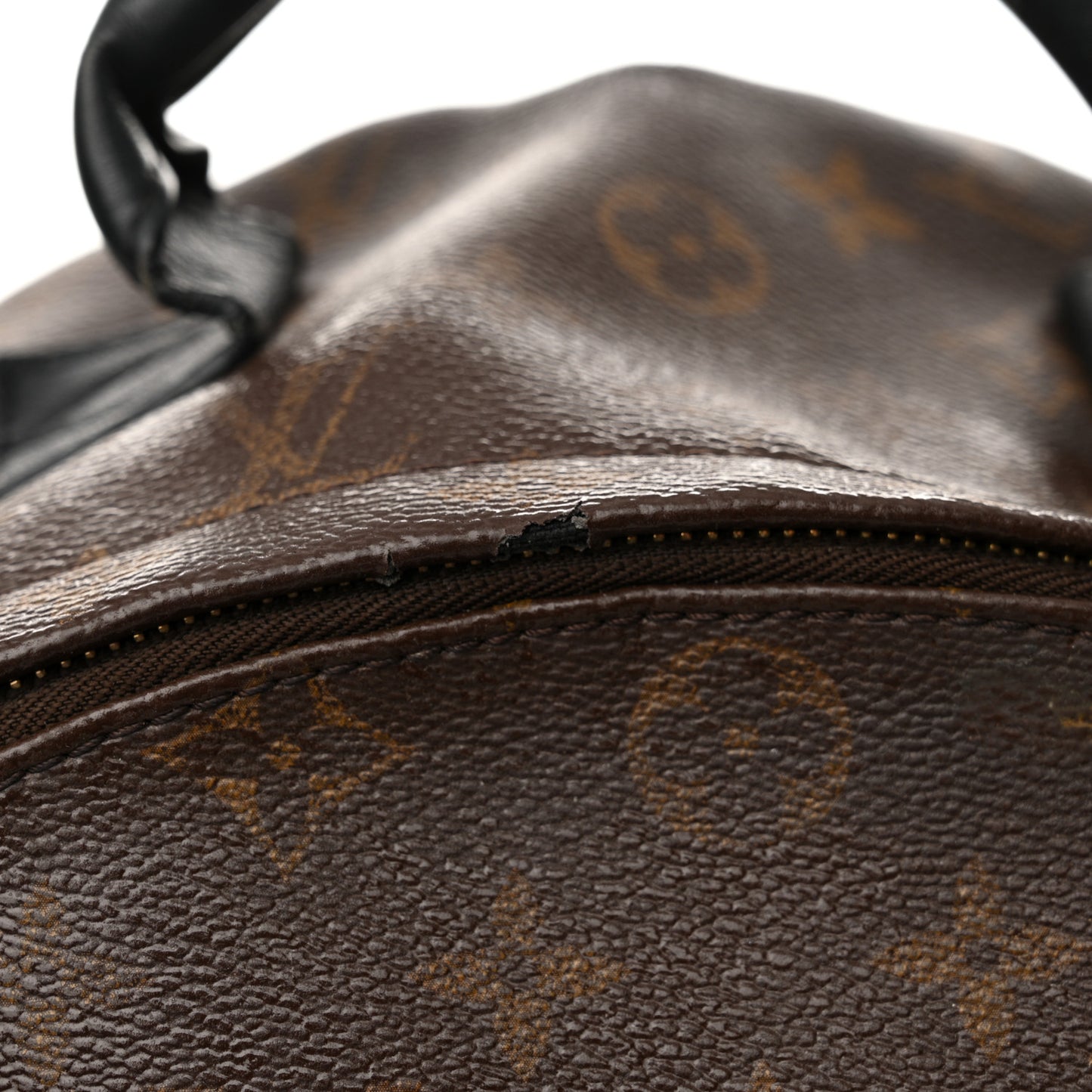 Monogram Palm Springs Backpack MM